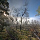 Into The Mist | Jasper National Park
